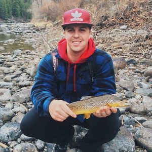 Meet your Posher, Jake