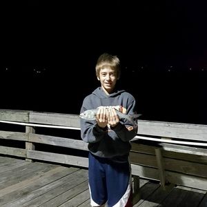 Meet your Posher, Patrick