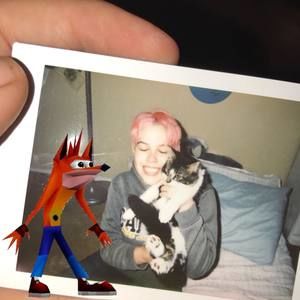 Meet your Posher, Maya