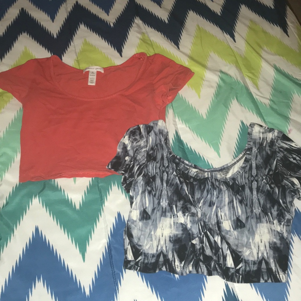 2 Basic Crop Top Lot