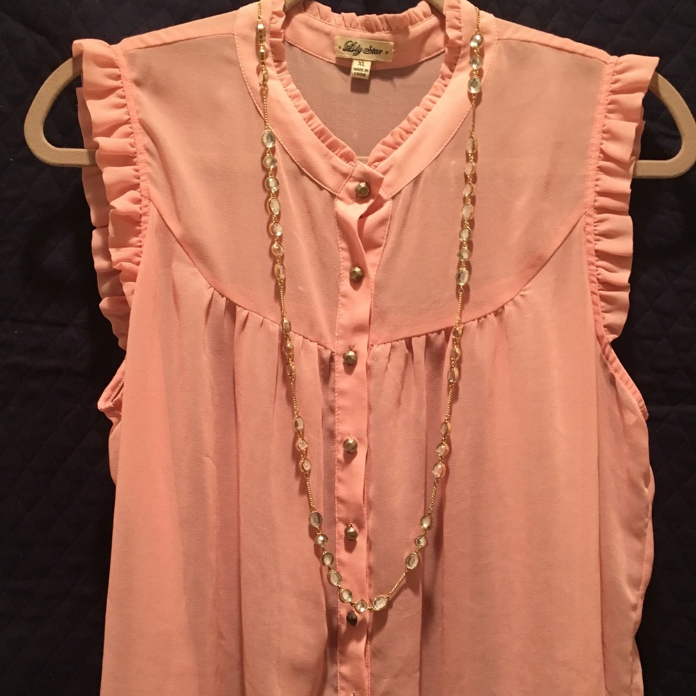 Lilly Star light pink shear blouse.