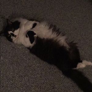 Meet your Posher, Annaliese