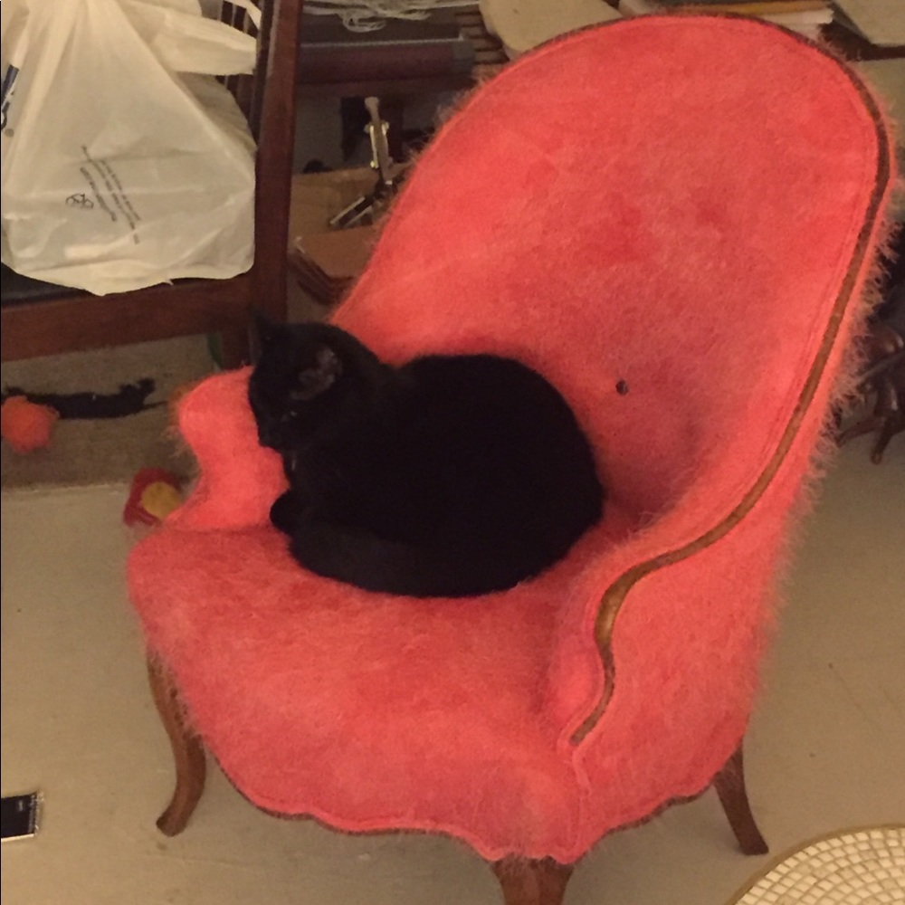 Meet your Posher, Lisette