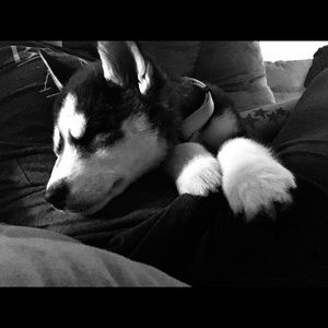 Meet your Posher, Nikki