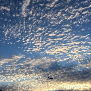 Meet your Posher, Olha