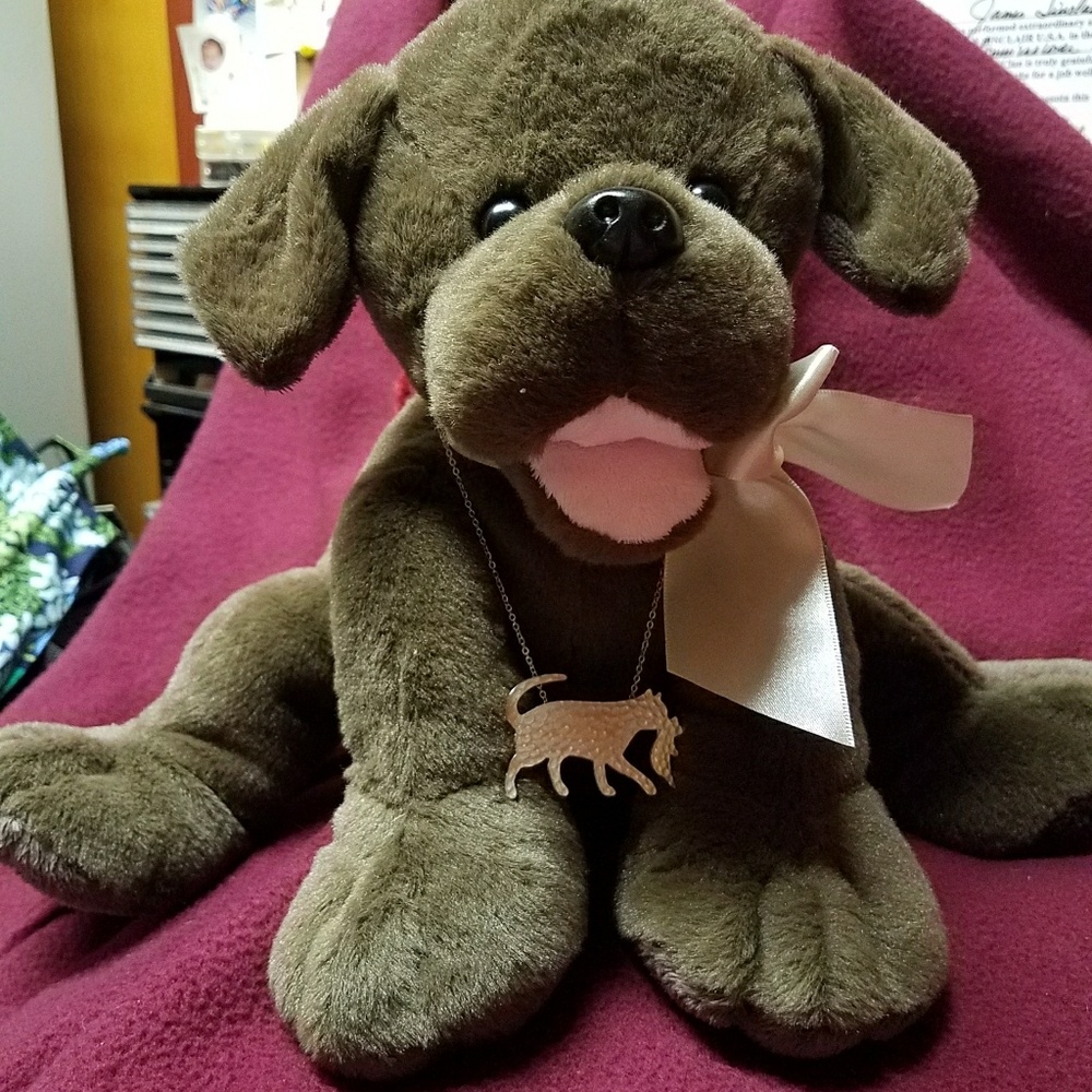 Cat carrying a kitten