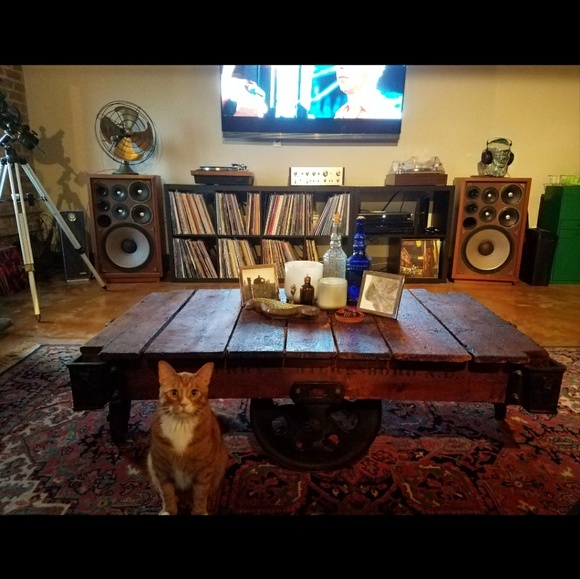 MEET YOUR POSHER 💕 - Picture 5 of 7