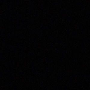 Meet your Posher, Lyla