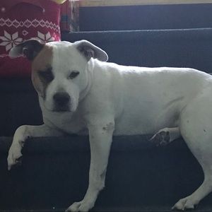 Meet your Posher, Wayne