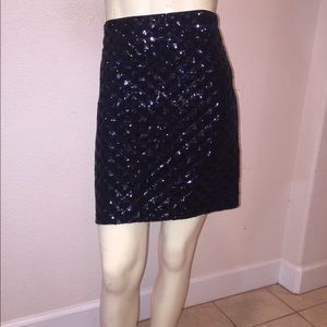 Banana Republic Sequin Skirt