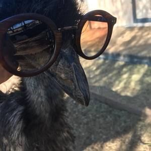 Meet your Posher, Sissy