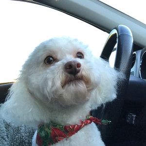 Meet your Posher, Lindsey