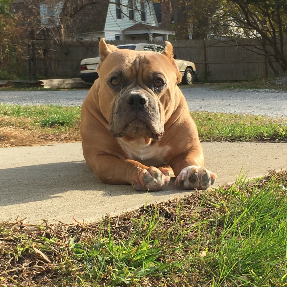 Meet your Posher, Ben