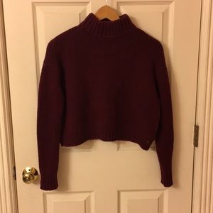 Cropped American Eagle Sweater