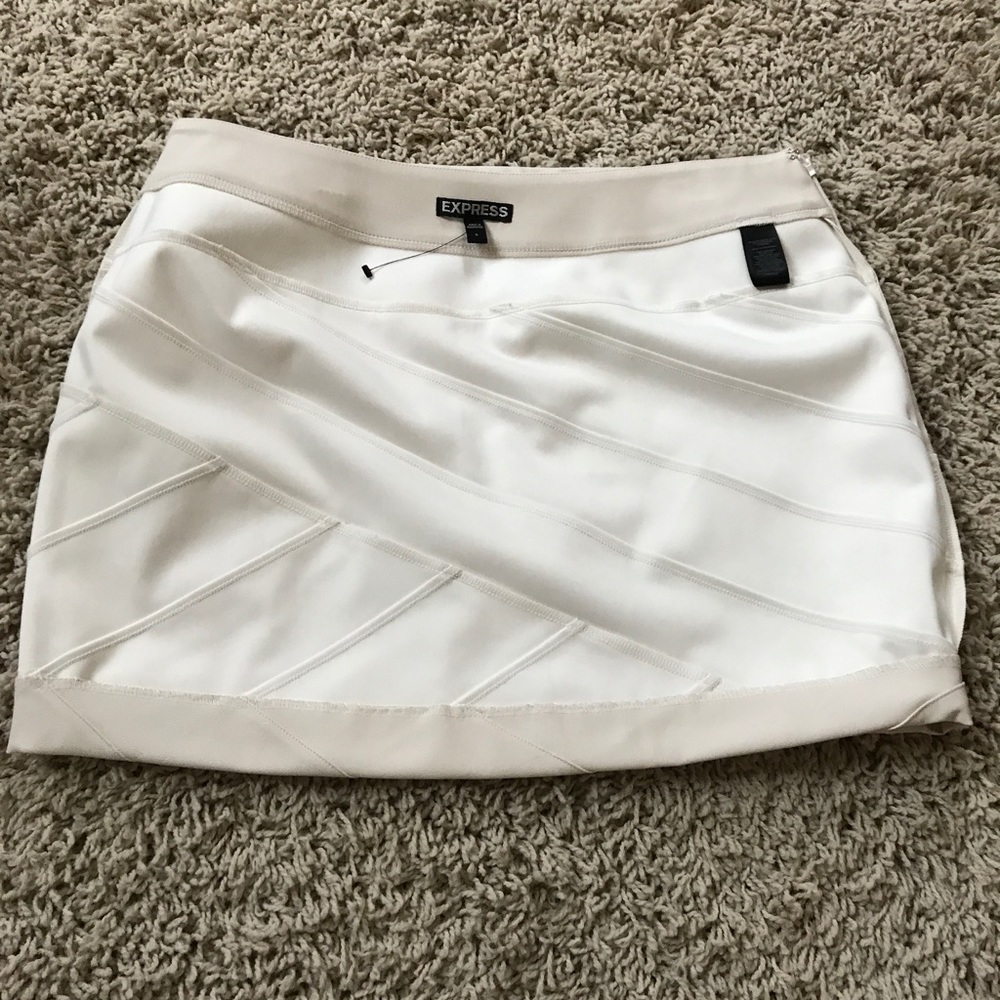 Express Mini Skirt - Picture 4 of 8