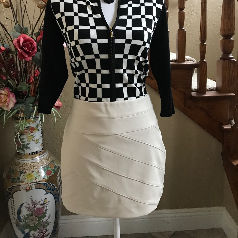 Express Mini Skirt - Picture 7 of 8