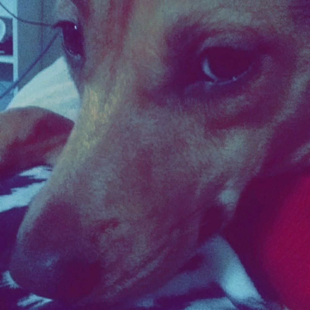 Meet your Posher, Hayley