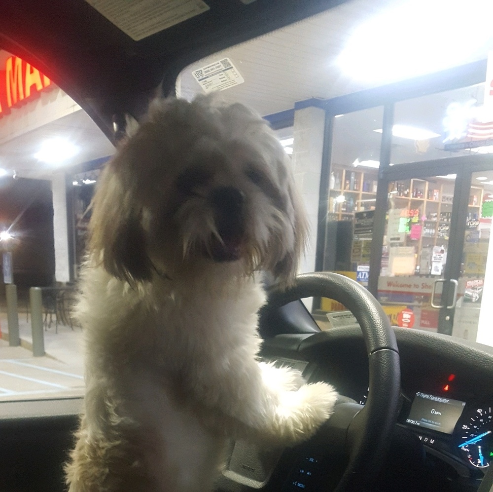 Meet your Posher, Sloan