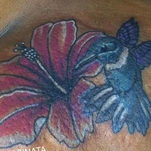 Meet your Posher, Tamara