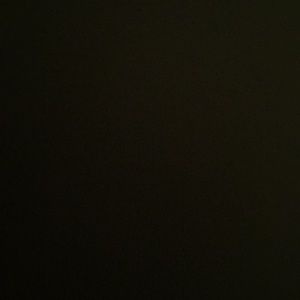 Meet your Posher, Dwight