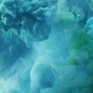 Meet your Posher, Javanni