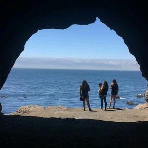 Meet your Posher, Paula