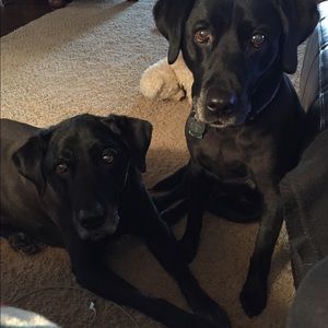 Meet your Posher, Barbara