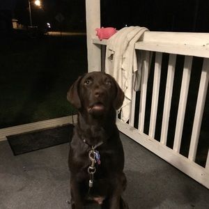 Meet your Posher, Ramon