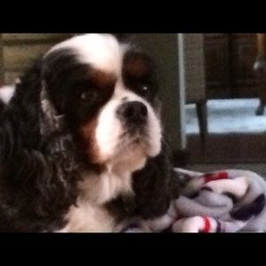 Meet your Posher, Jackson