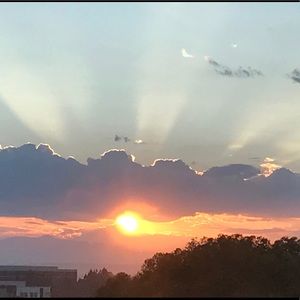 Meet your Posher, Rose