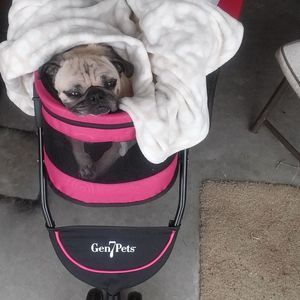 Meet your Posher, Nicole