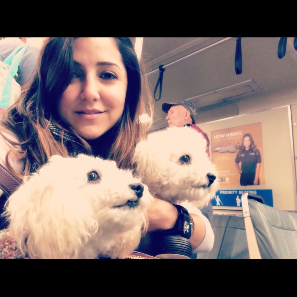 Meet your Posher, Pardis