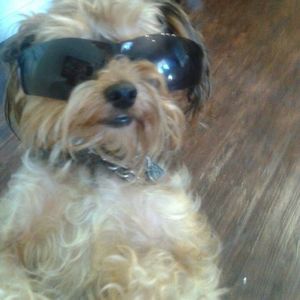 Meet your Posher, Natalia