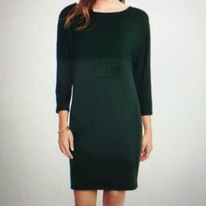 BRAND NEW Knit 3/4 Sleeve Shift Dress in Evergreen