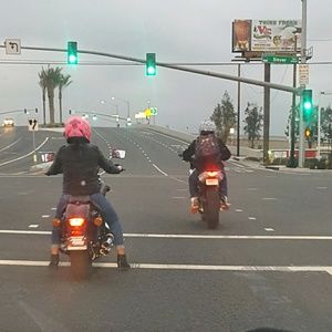 Meet your Posher, Dalia