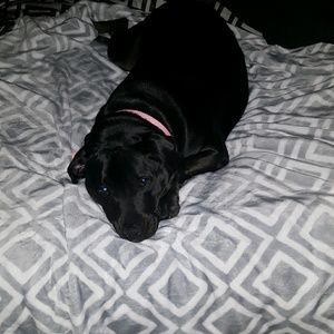 Meet your Posher, Rachel