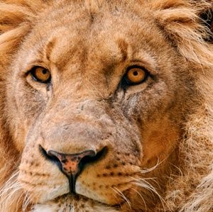 Meet your Posher, Ejaz