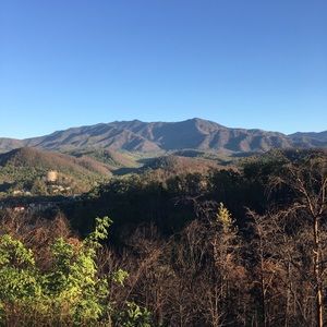 Meet your Posher, Zach