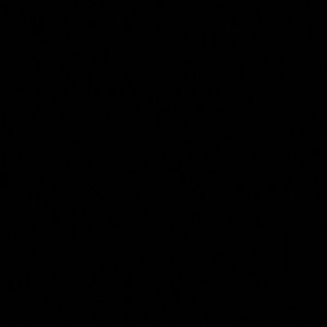 Meet your Posher, Bruce