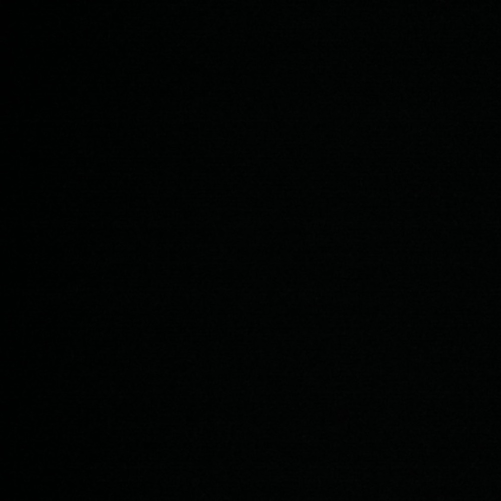 Meet your Posher, Lee