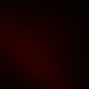 Meet your Posher, Daisy