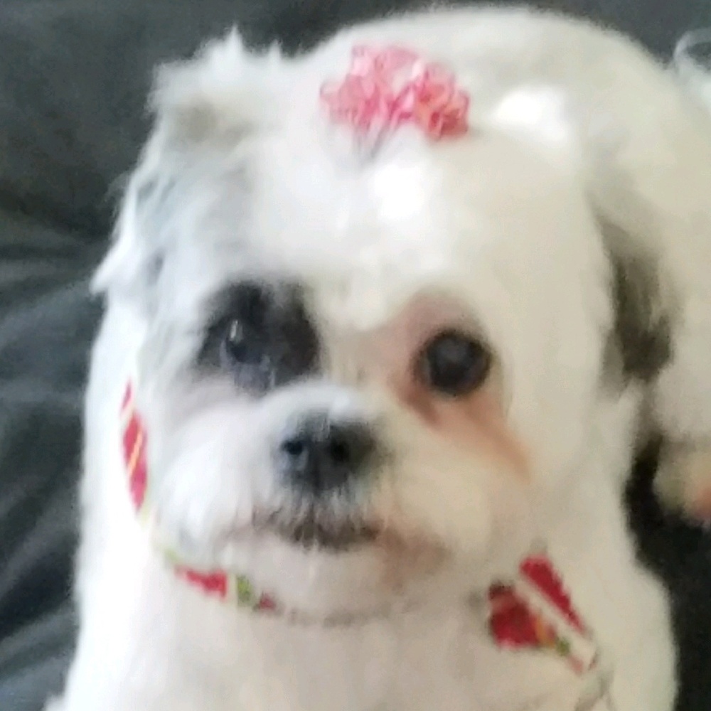 Meet your Posher, Janelle