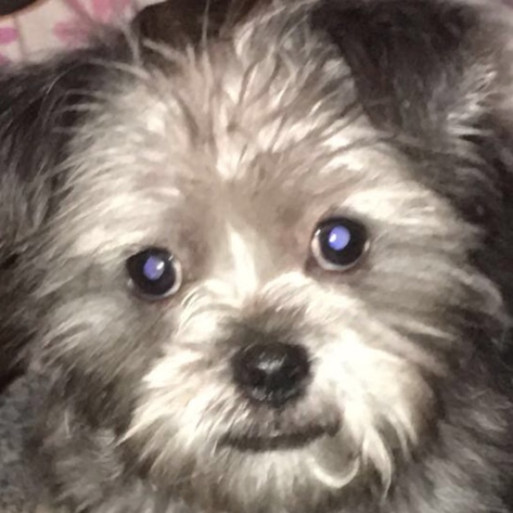 Meet your Posher, Maria