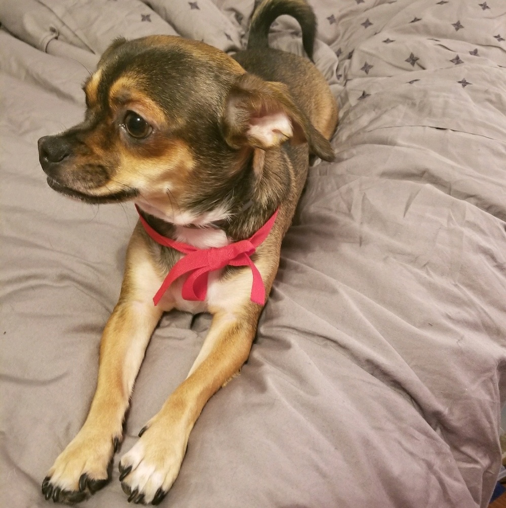 Meet your Posher, Elle