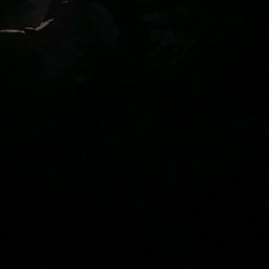 Meet your Posher, Salita