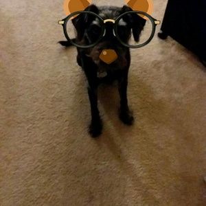 Meet your Posher, Georgia