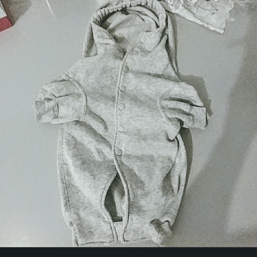 ⬇⬇🆑🆑Large Doggie's Gray Hoodie