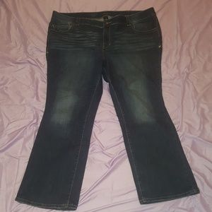 Lan Bryant Size 26 Jeans