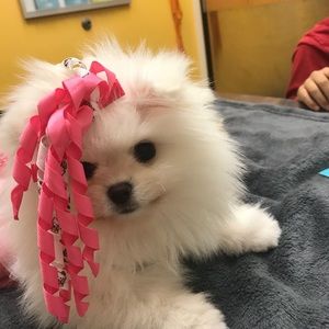 Meet your Posher, Delia