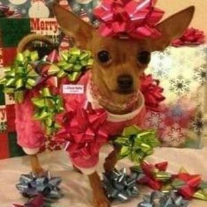 Meet your Posher, Stacey